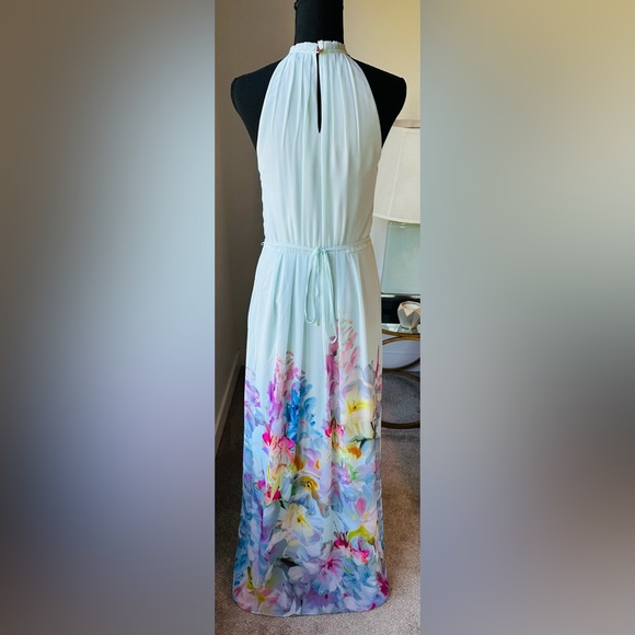 Ted Baker Maxi Dress - Picture 7 of 9